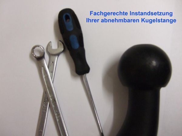 Instandsetzung Kugelstange abn. ACS, Terwa, GDW